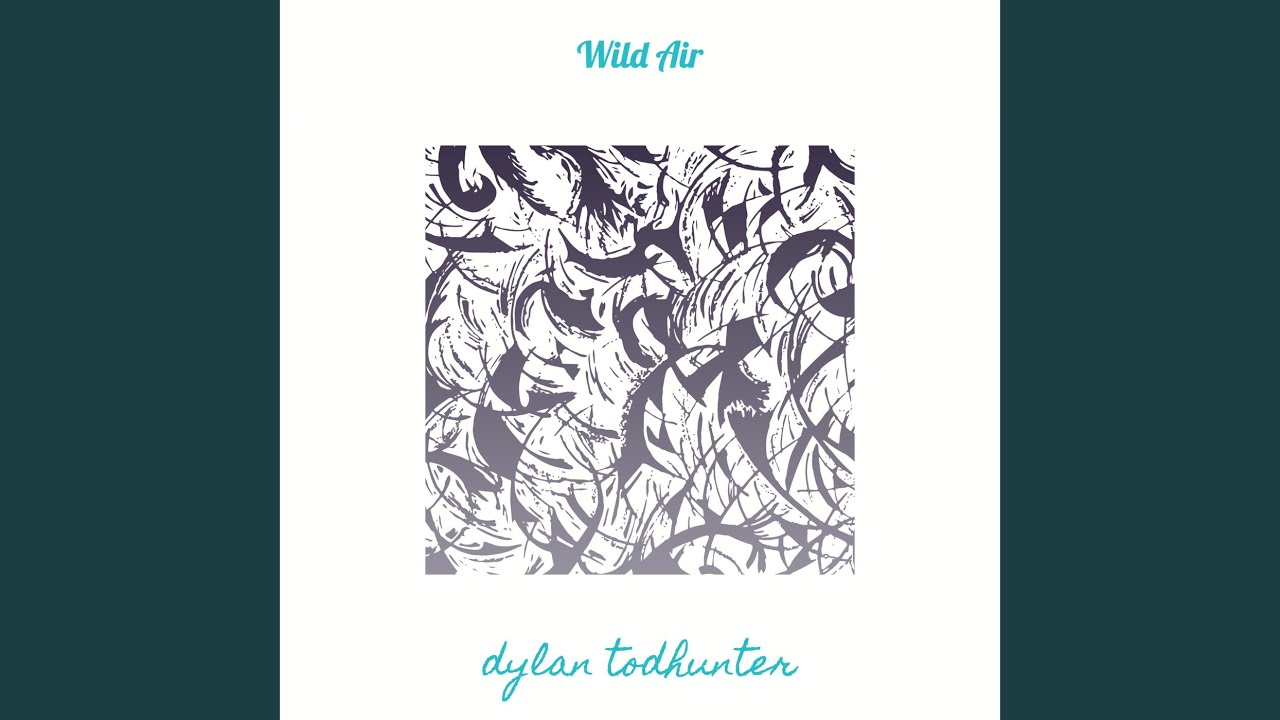 Wild Air