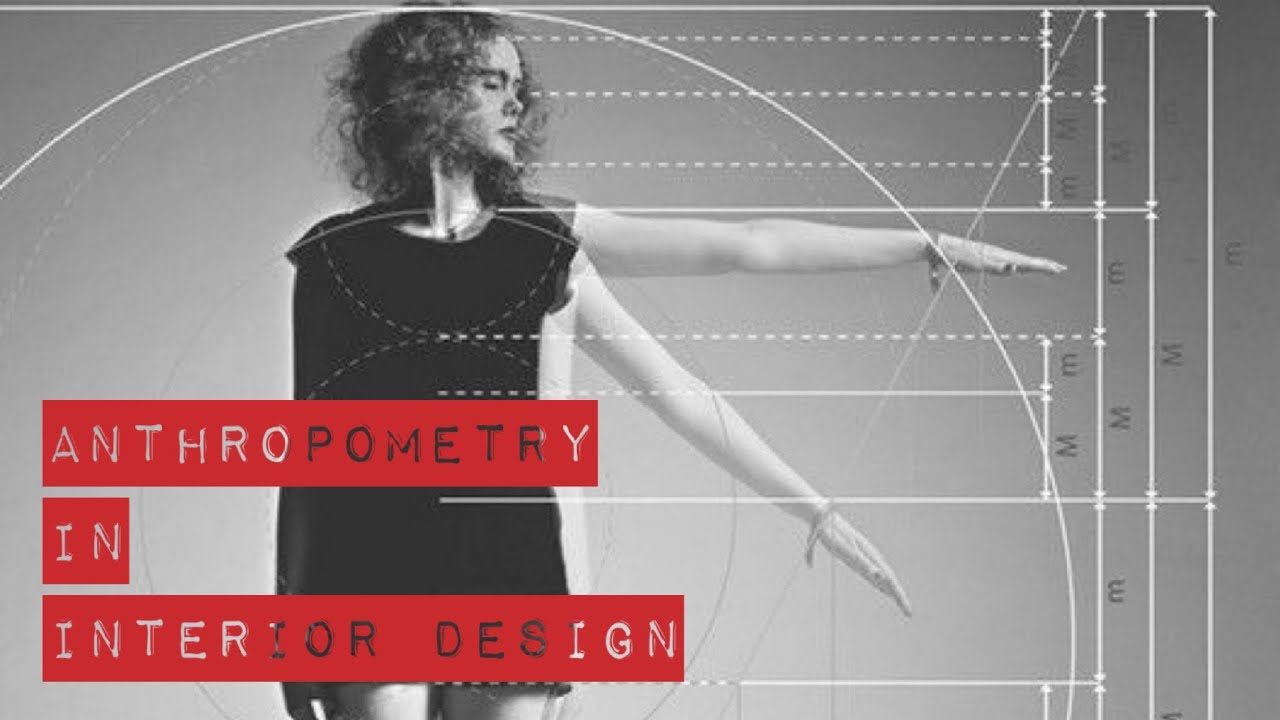 What is anthropometry?
