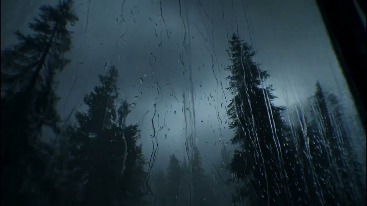 💨 Stormy Night in the Woods — Rain on Window | ASMR Rain Sounds for Sleep & Relax