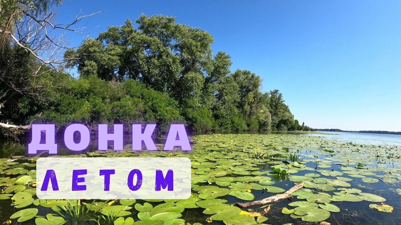 Рыбалка на донку или макушатник не работает!