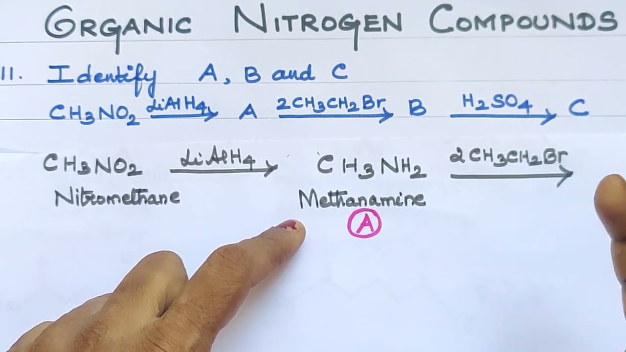 Book Exercise 11/Organic Nitrogen Compounds