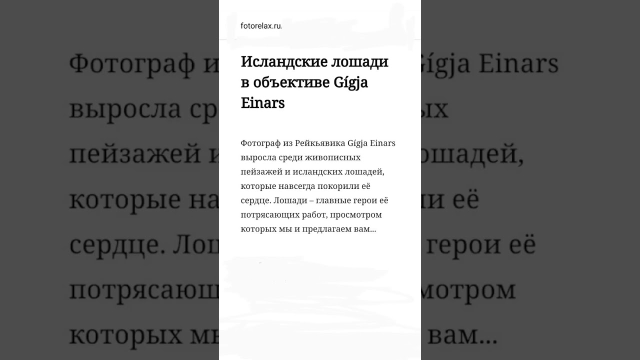Исландские лошади в объективе G&iacute;gja Einars (FotoRelax.ru).