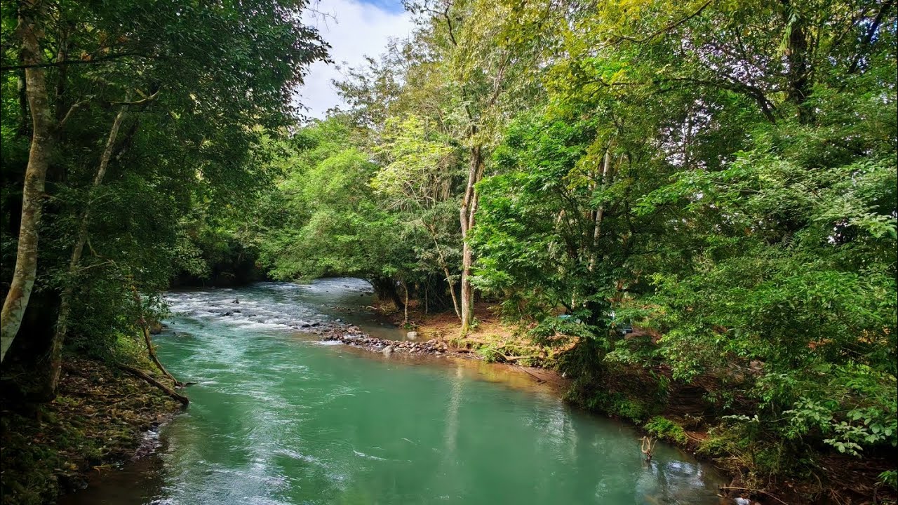 Ruta de locales en katira de guatuso Río celeste camping zona turística 