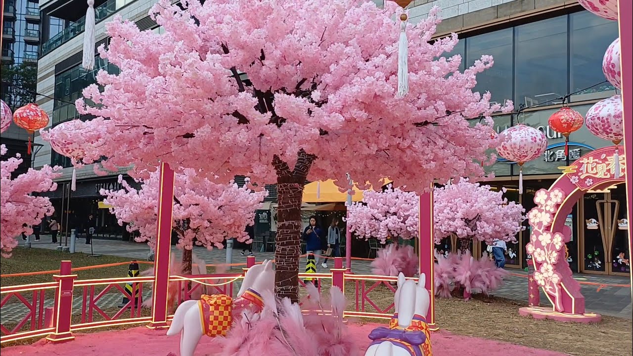 MINI CHERRY BLOSSOM AT NORTH POINT HARBOURFRONT | HK