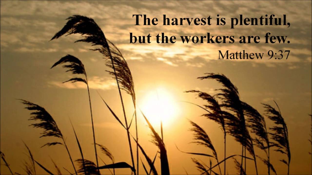 Bringing in the Sheaves - Lyrics