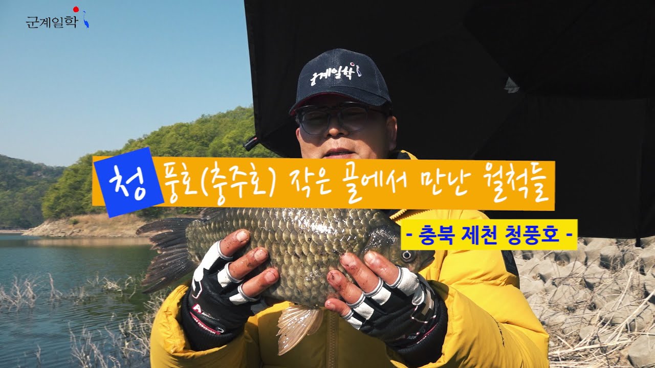 [자연지] 119.청풍호(충주호) 작은 골에서 만난 월척들 - 충북 제천 청풍호(2020.4.30)
