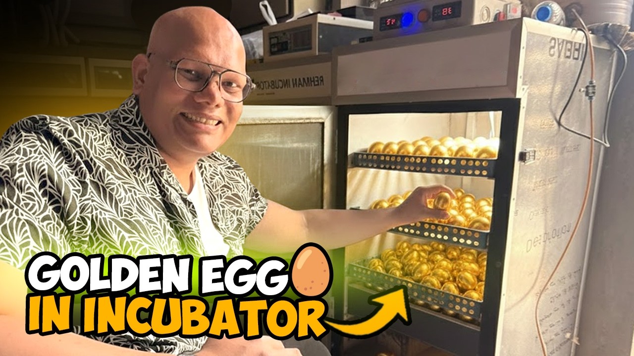 Golden Egg Incubator Mein Rakh Diya 🥚🔥 | BT Farm Stories