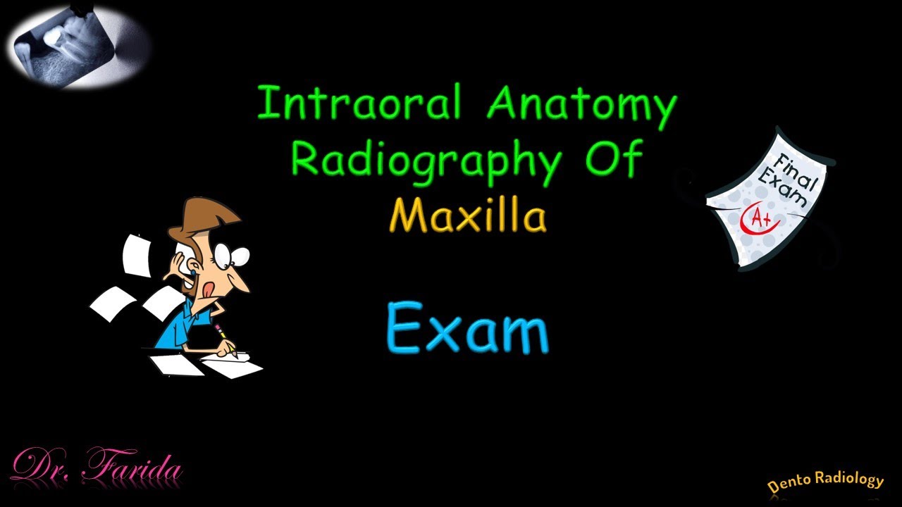 Normal radiographic anatomical landmarks/ Intraoral Radiographic Anatomy of the Maxilla/ Dental exam