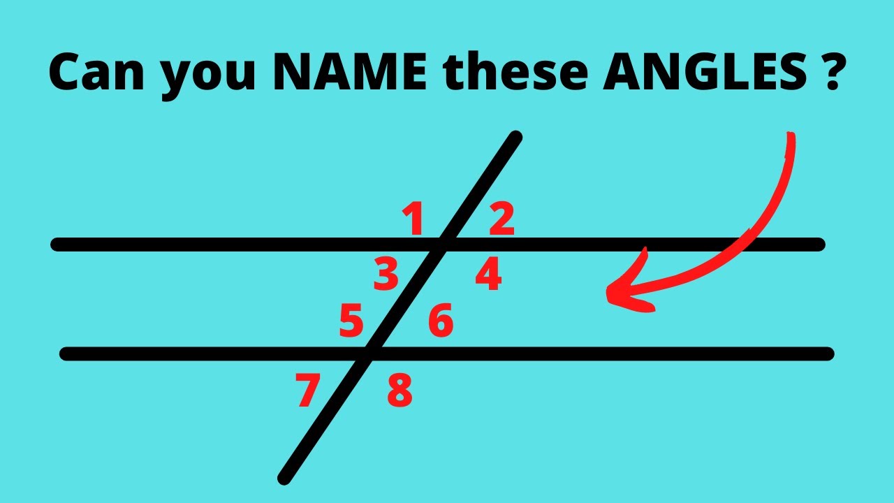 Parallel Lines cut by a Transversal