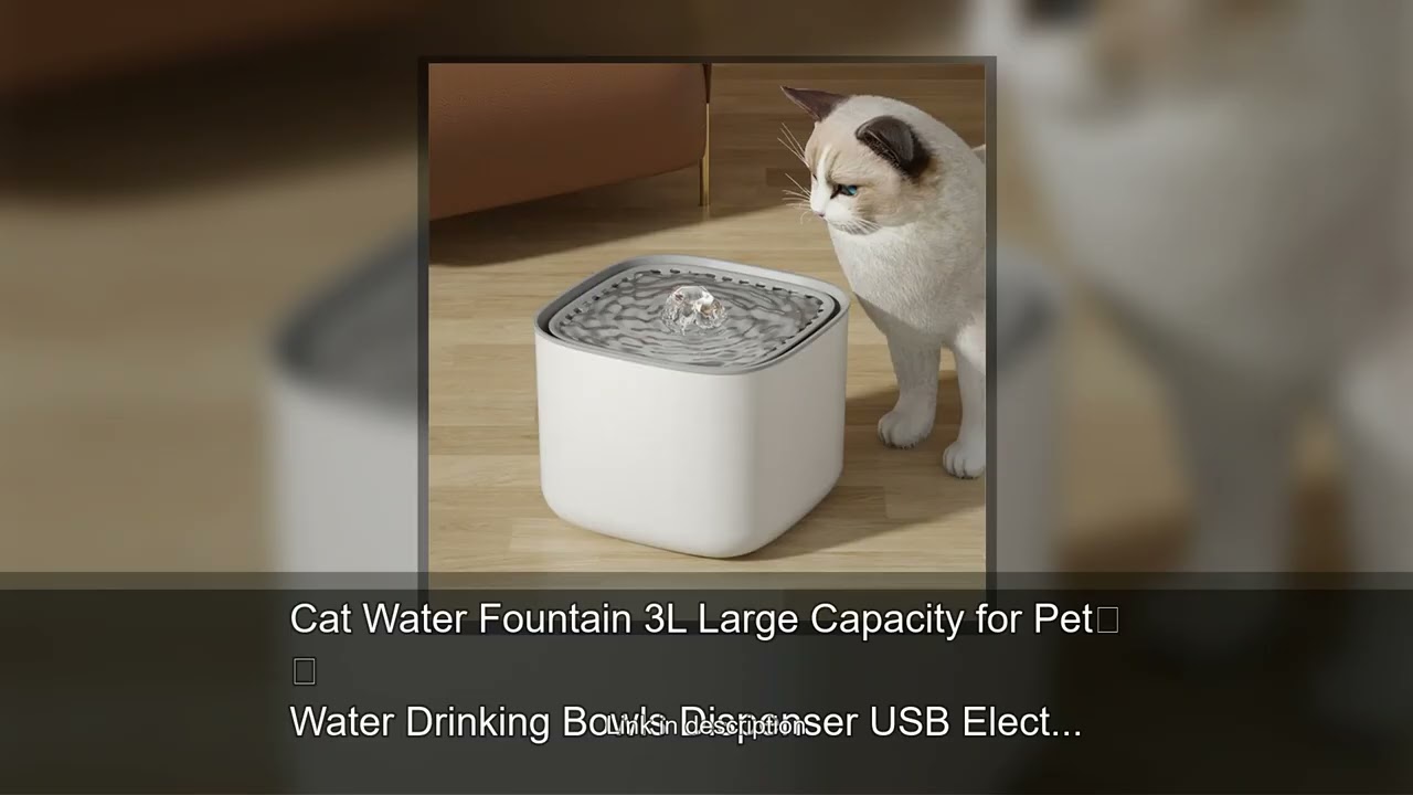 Cat Water Fountain 3L Large Capacity for Pet Water Drinking Bowls Dispenser USB Electric Auto R