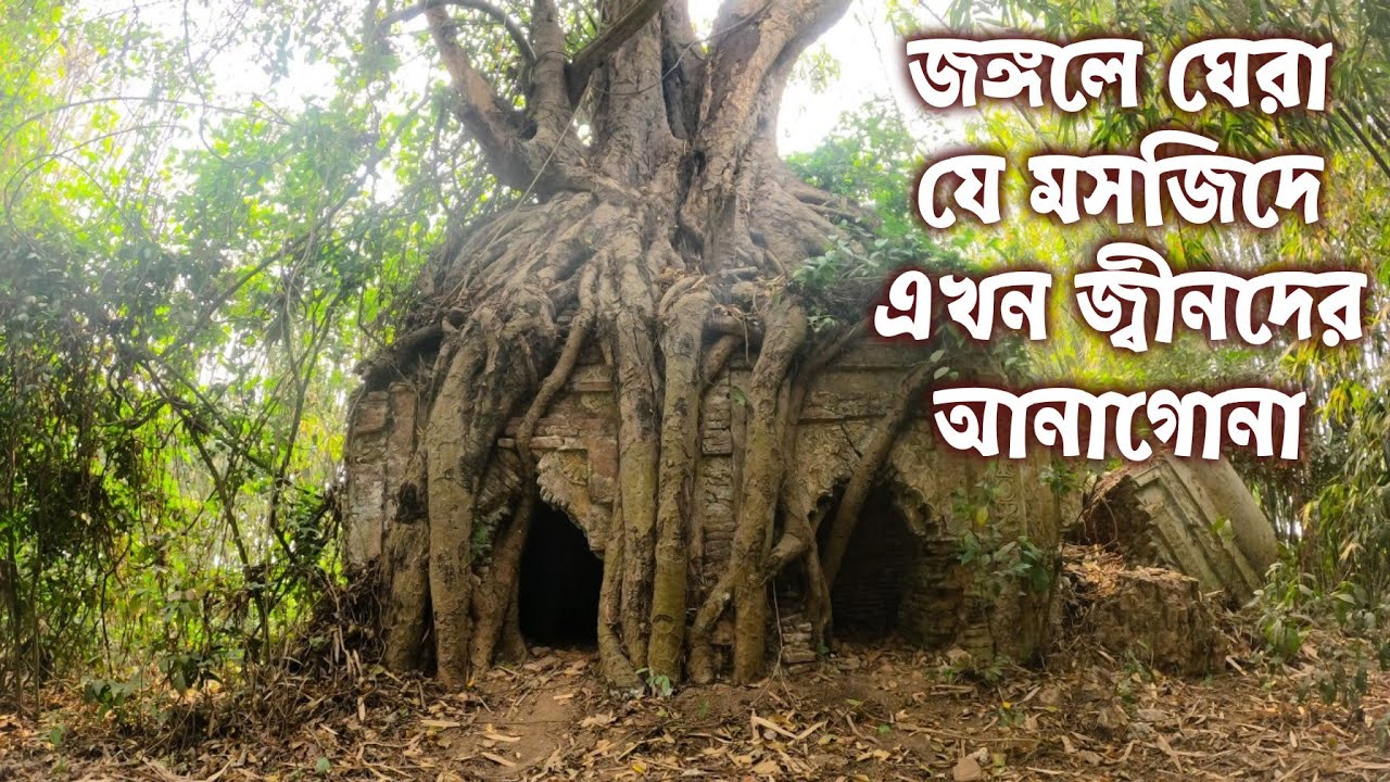 ৪০০ বছরের প্রাচীন যে মসজিদে এখন জ্বীনদের আনাগোনা || Jiner Mosjid || Ancient Mosque