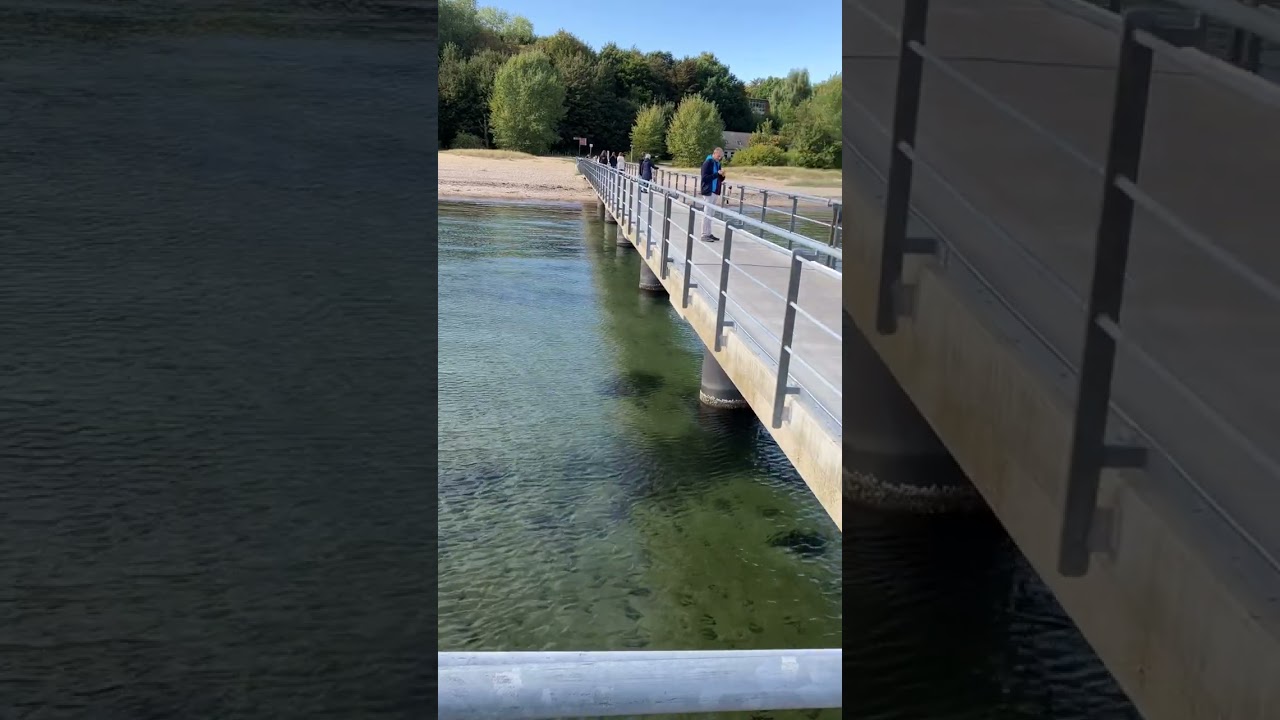 Kiel Falckensteiner Strand Oktober 2022