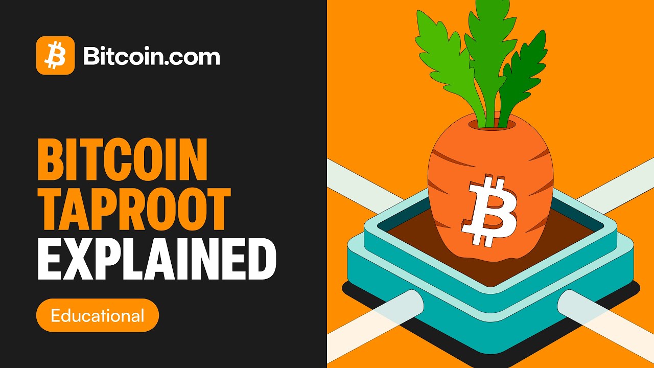 What Is Bitcoin Taproot? | Bitcoin&rsquo;s Most Powerful Upgrade Explained