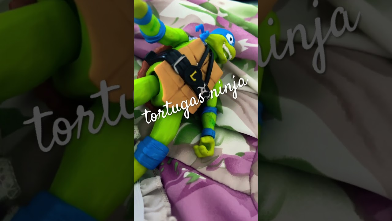 Toca ninja