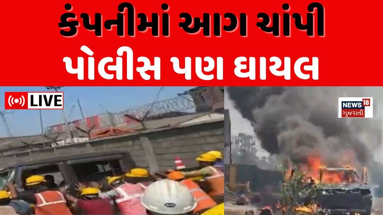 Surat AMNS Company Strike LIVE | કર્મચારીઓએ કરી ભારે તોડફોડ, પોલીસ બોલાવી પડી | Gujarat | Police