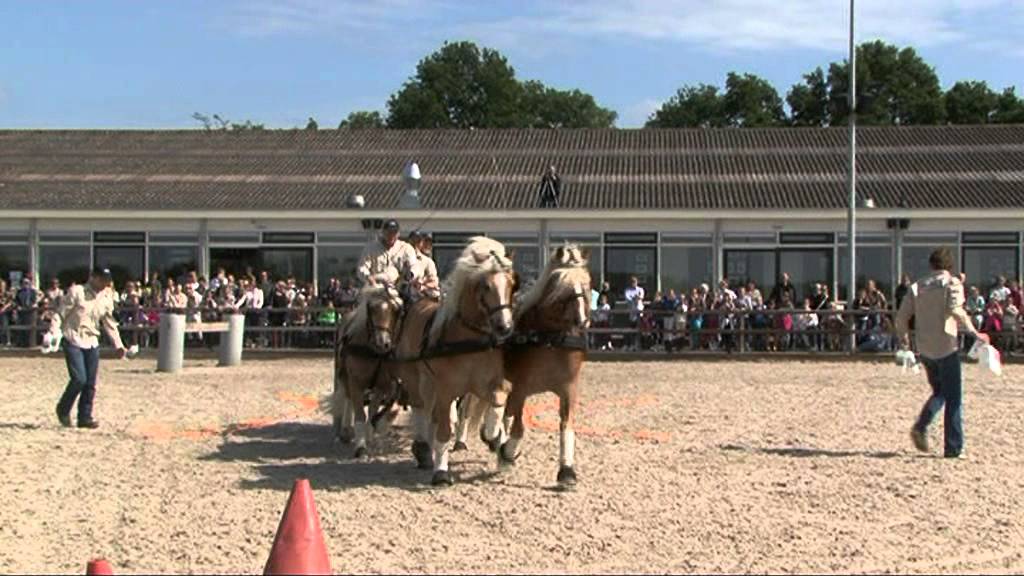 Frank Bos geeft demonstratie met zijn vierspan bij manege De Prinsenstad mei 2011
