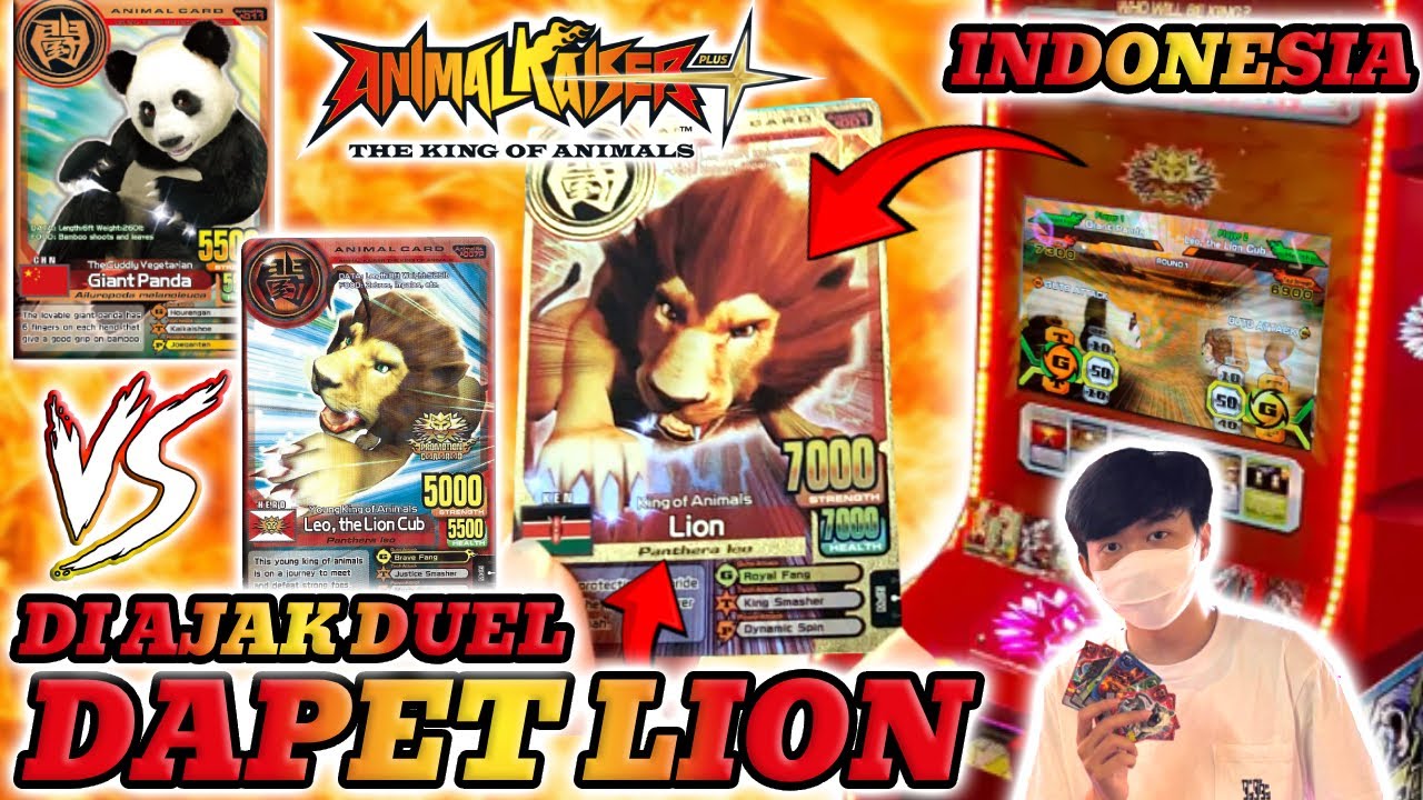 DAPET KARTU NO 1 🦁 DI ANIMAL KAISER PLUS SETELAH DI TANTANG DUEL !!! - AK PLUS INDONESIA #3