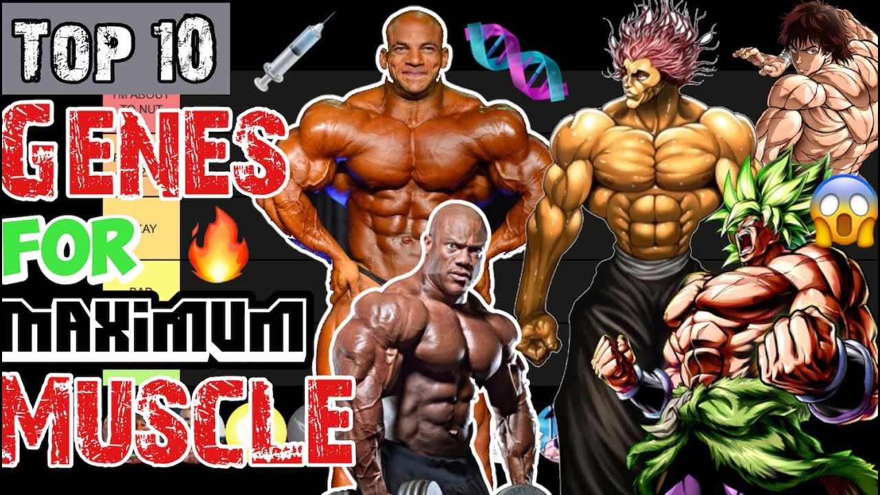 TOP 10 GENES FOR MUSCLE GROWTH - HOW MANY DO YOU HAVE ? | BODYBUILDING GENETICS EXPLAINED