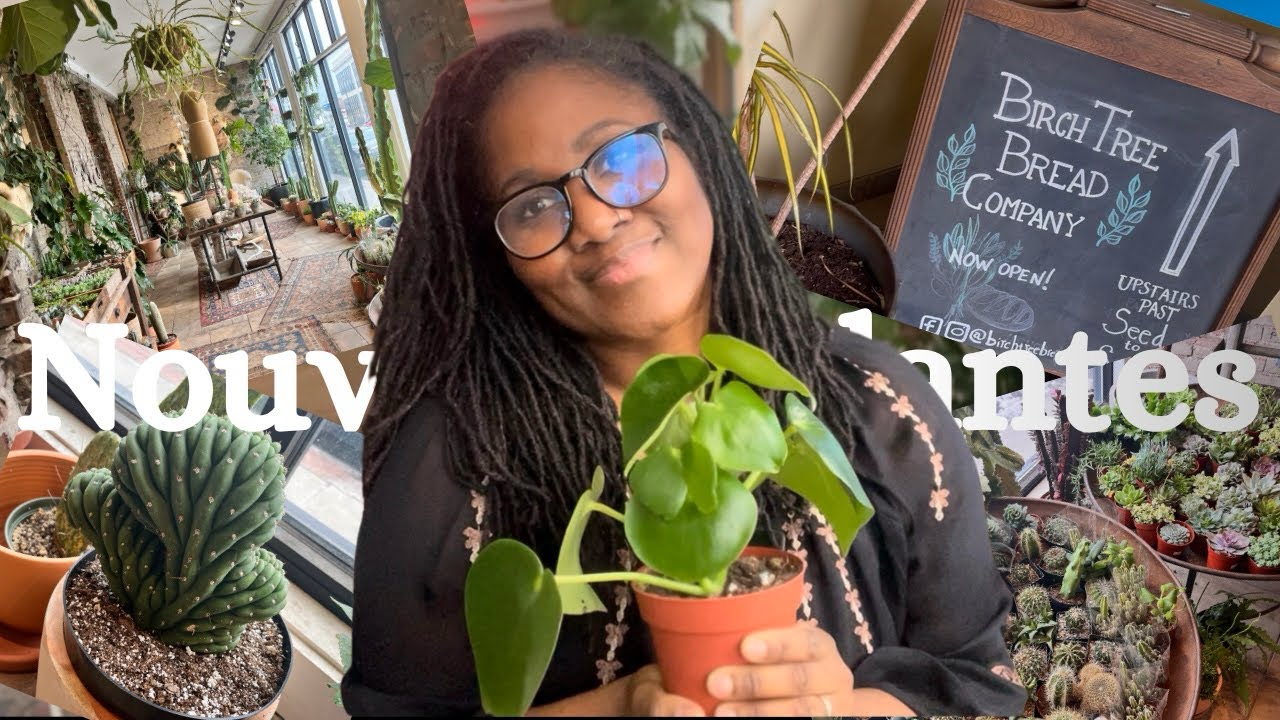 🌱Mini Haul Plantes d’une jardinerie pas ordinaire ✨