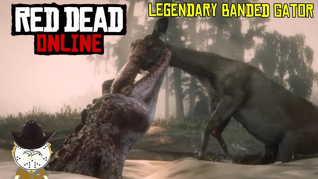 Red Dead Online How To Sedate And Kill The Legendary Banded Gator And Get The Banded Coat
