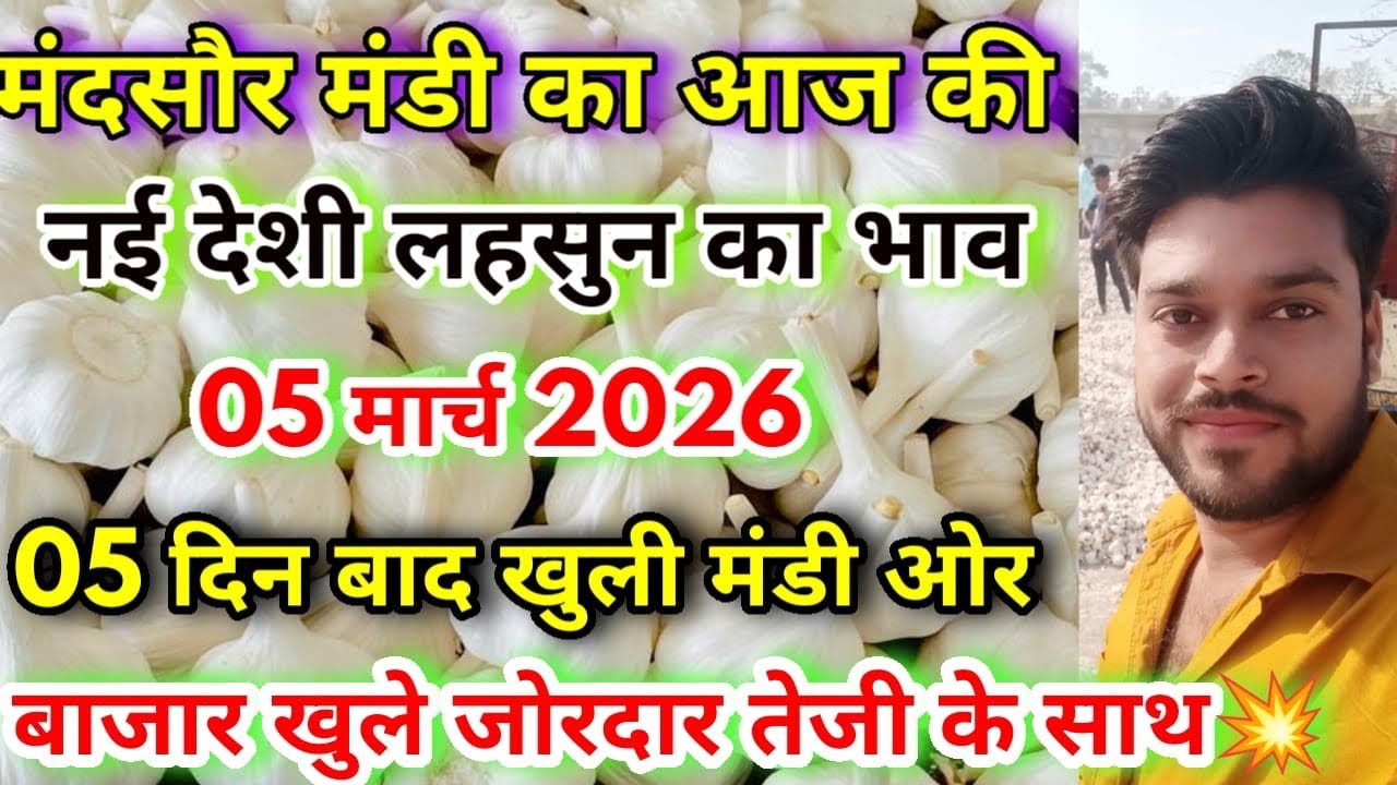 मंदसौर मंडी का आज का नई देशी लहसुन का भाव | Aaj Ka Lahsun Ka Bhav | New Garlic Rate Today Mandsaur