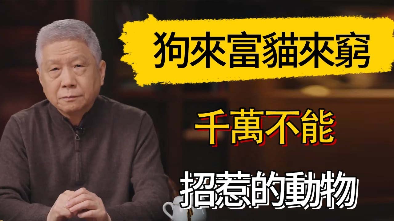 狗來富,貓來窮。千萬不能招惹的動物 #觀復嘟嘟 #馬未都 #圆桌派 #观复嘟嘟