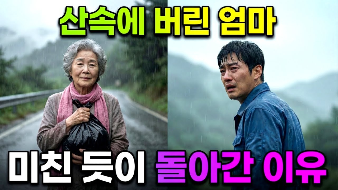 요양원비 아끼려고 산속에 엄마 버리고 떠났던 아들, 엄마가 차 뒷좌석에 몰래 쑤셔 넣고 간 '검은 비닐봉지' 뜯어보고 미친 듯이 핸들 꺾은 이유