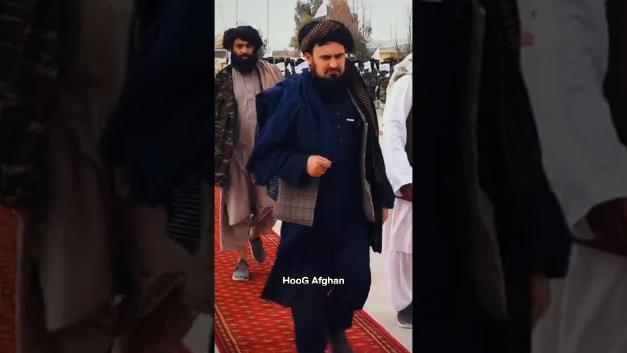 Chief of Army staff of Afghanistan Qari Fasihuddin attitude status #shorts #taliban #viral