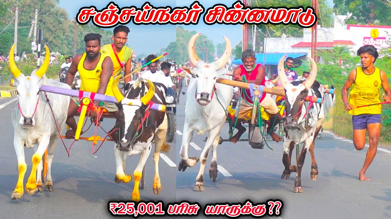 3சஞ்சய்நகர்-சின்னமாடு-பந்தயம்_29.01.2026_V_Photography