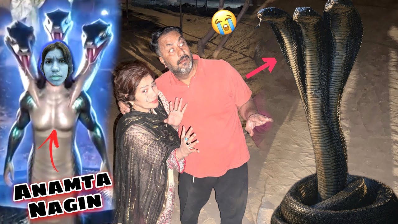 Anamta snake bun gai 😭dimond hasil kar leya😱