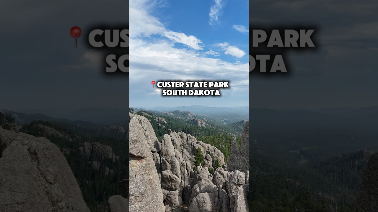 Custer State Park in South Dakota is home to some of the most scenic drives in the United States!