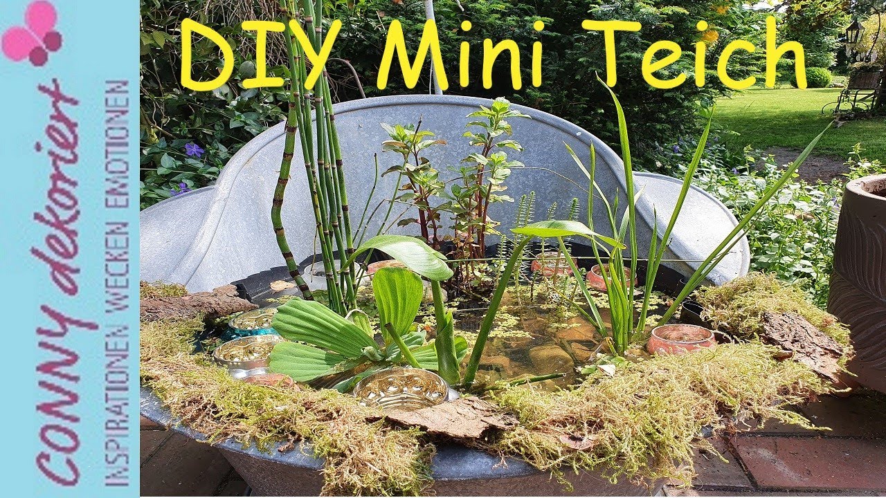 Mini Teich in Zinkwanne | Mini Teich für Balkon, Terrasse und Garten