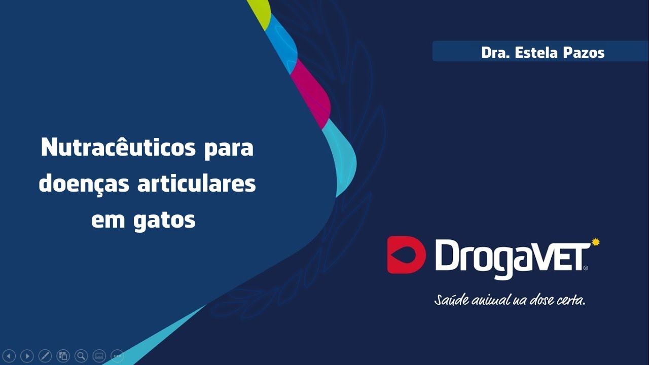 WEBINAR DrogaVET São Paulo - Nutracêuticos para doenças articulares em gatos. Dra  Estela Pazos