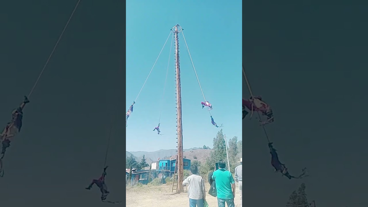 Danza tradicional y voladores en la fiesta patronal en Oxpantla, Zautla, Puebla #costumbres #puebla 