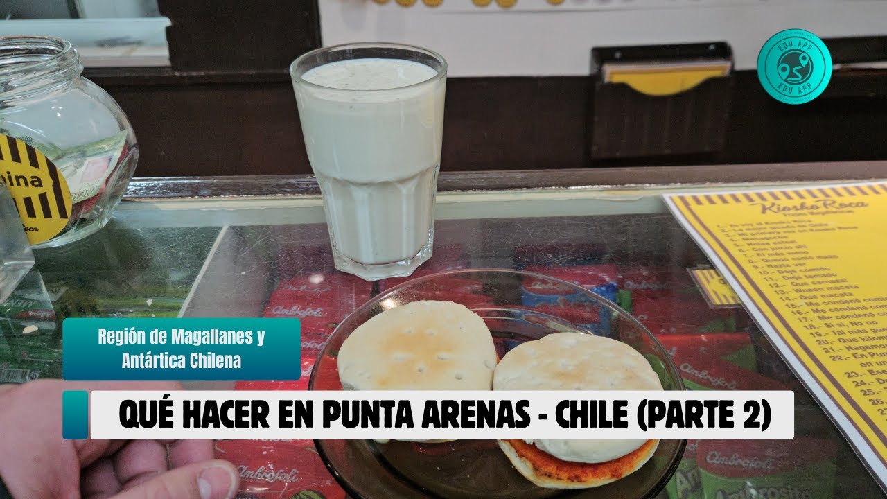 Qué hacer en Punta Arenas - Chile en 2025 (Parte 2)