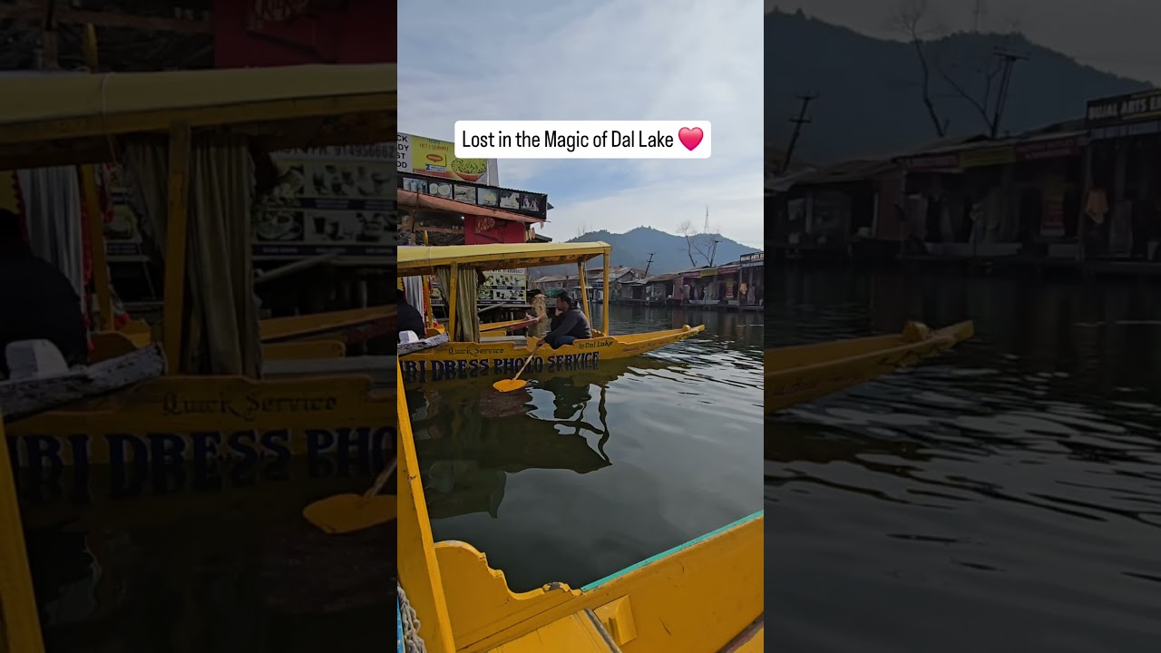 Lost in the Magic of Dal Lake❤️ 
