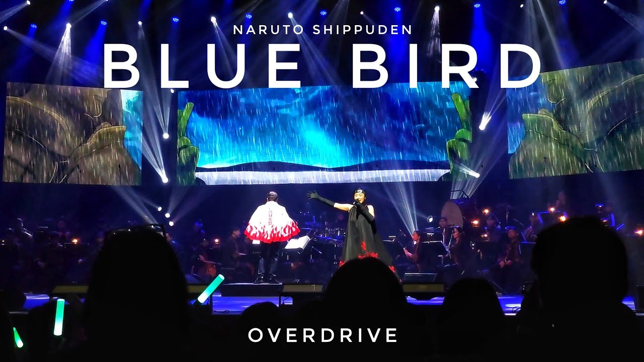 [4K] Blue Bird - Naruto Shippuden Ost - an Anime Symphony Overdrive Jakarta 2024