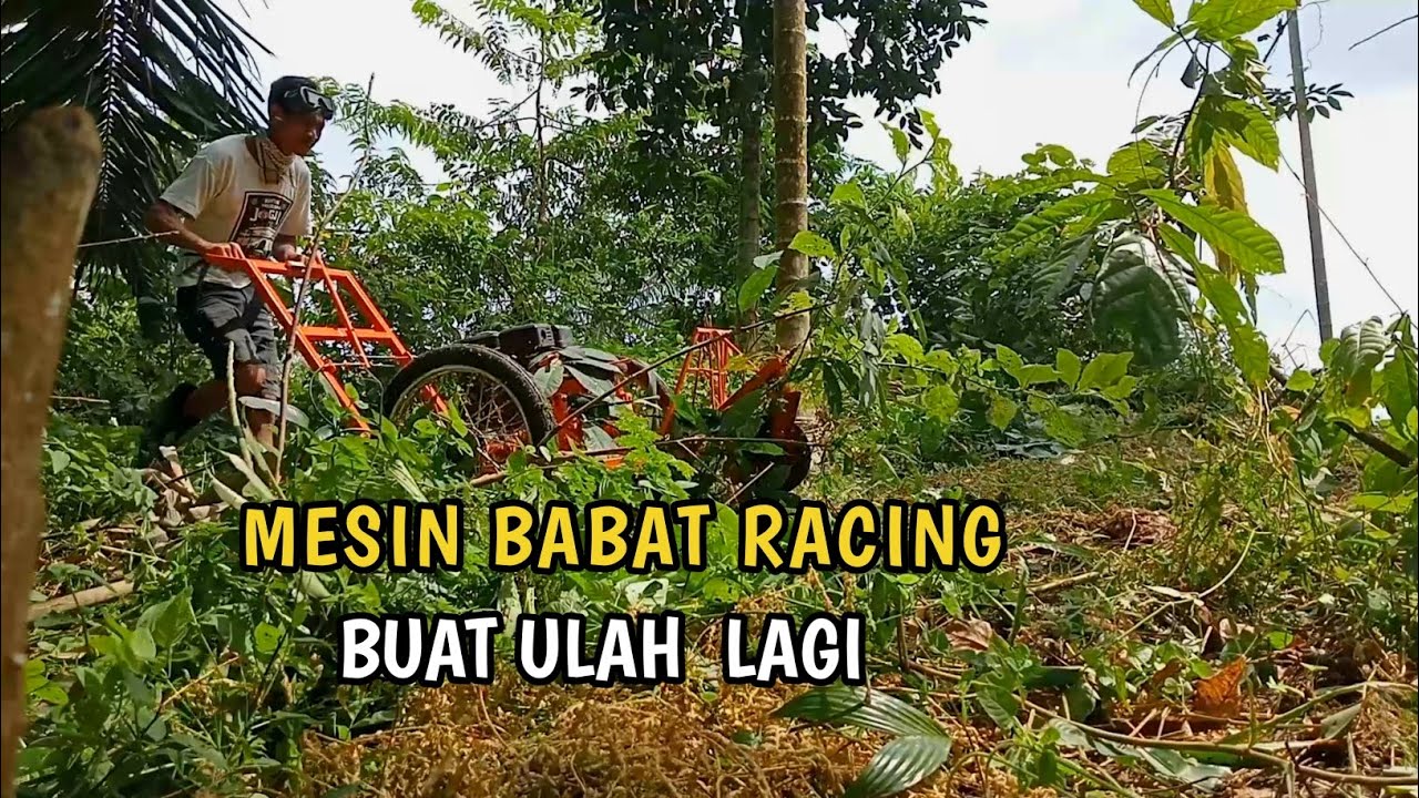 Mesin pembersih ladang , tunggul anak kayu rata dicincang habis