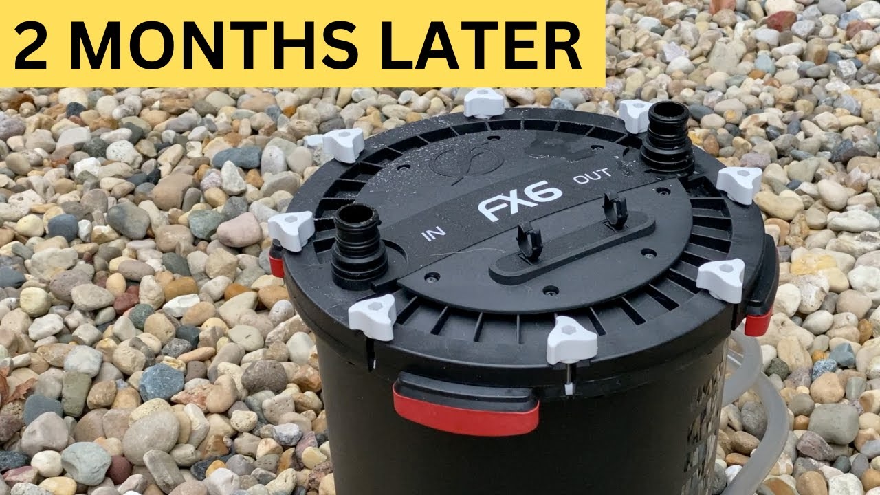 Canister Filters For Saltwater Aquarium