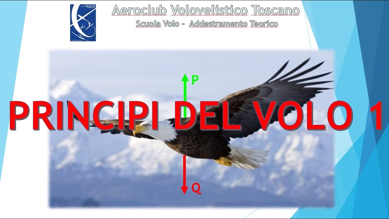 PRINCIPI DEL VOLO - Lezione 1/3