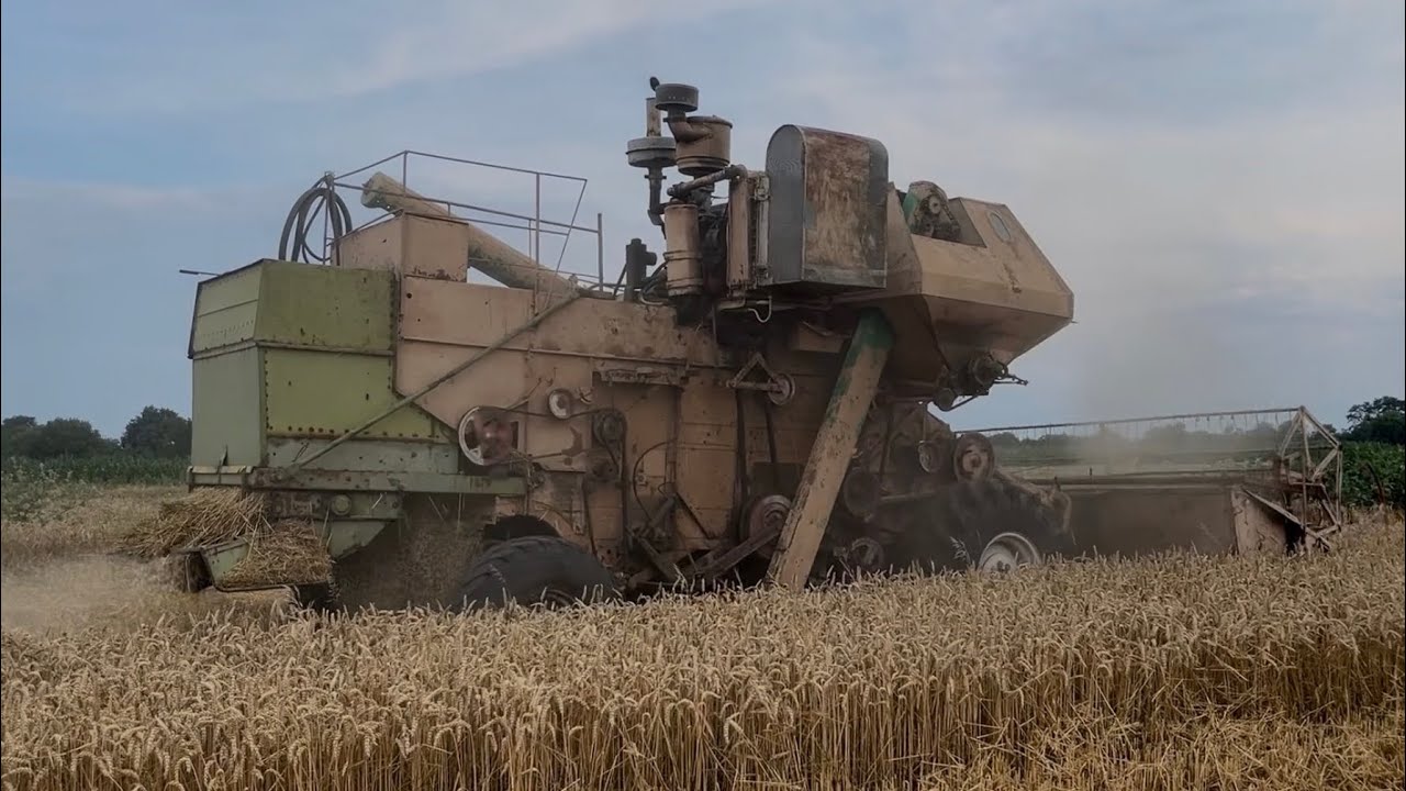 ✅Комбайн нива ск5🔥 уборка озимої пшениці після сої 🆘 урожай 👍