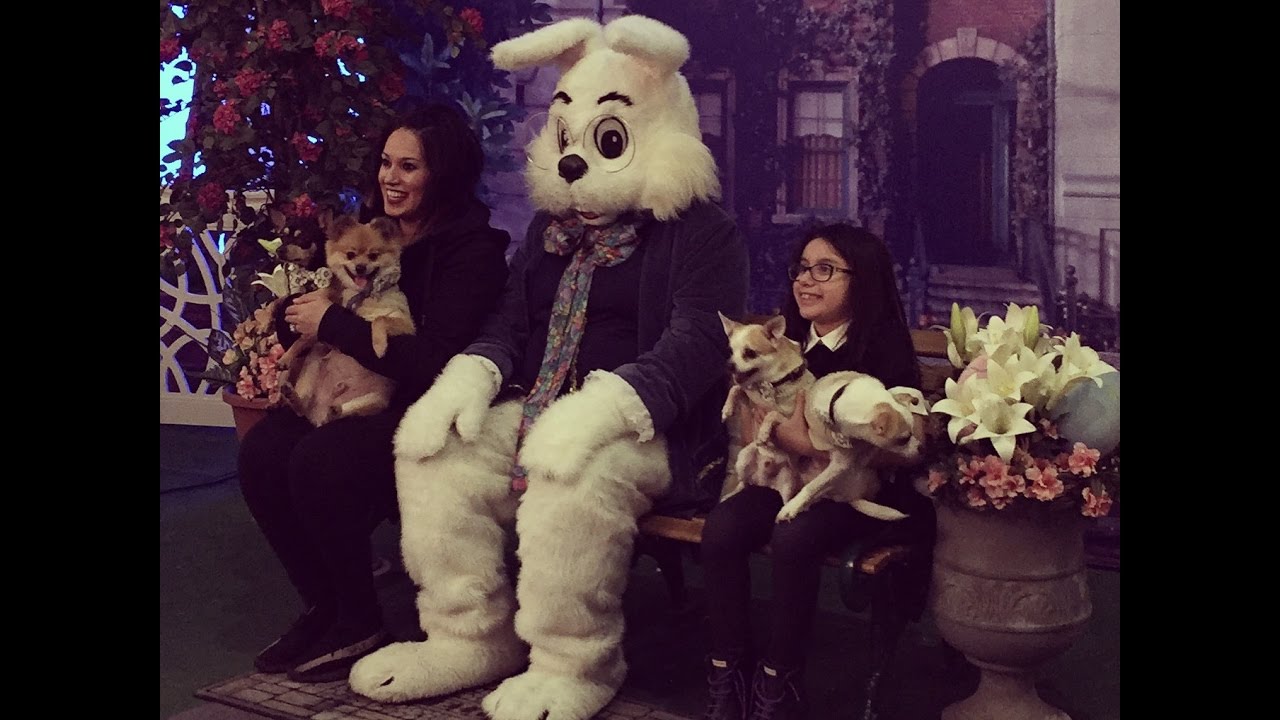 TRIP TO SEE THE EASTER BUNNY AT WOODFIELD MALL