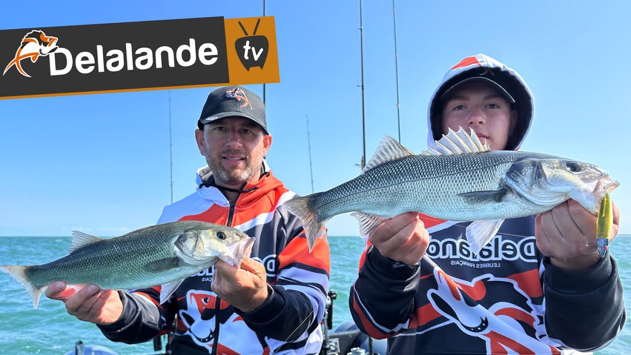 Pêche du Bar en Atlantique 🎣 Techniques et Animations pêche aux leurres souples Delalande 🎣