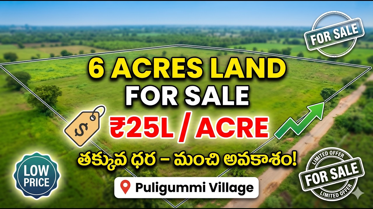 పులిగుమ్మి గ్రామంలో 6 ఎకరాల భూమి అమ్మకానికి – ఎకరా ₹25 లక్షలు మాత్రమే || Naidu real estate