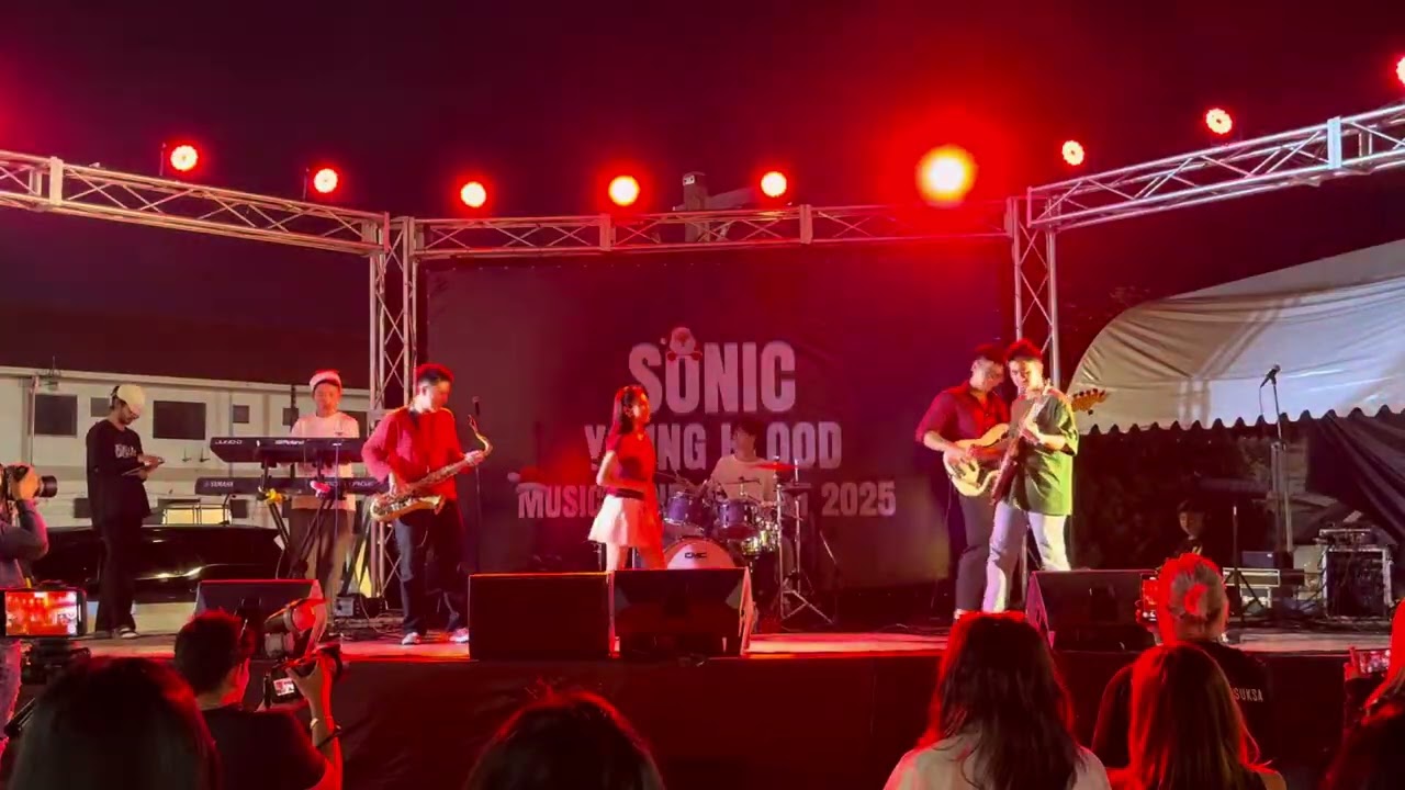Sonic Young Blood