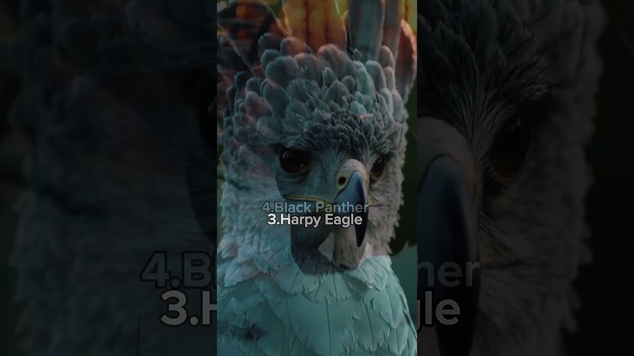 Most majestic Animals in the world 