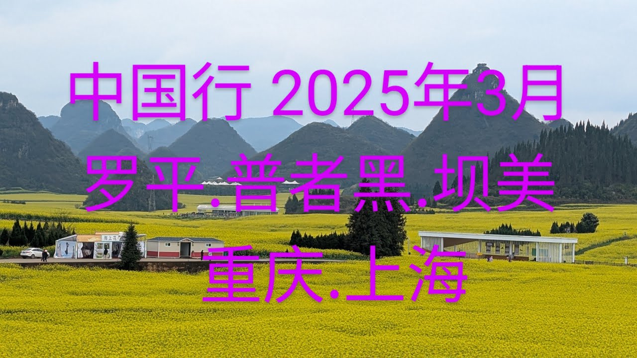 中国行202503
