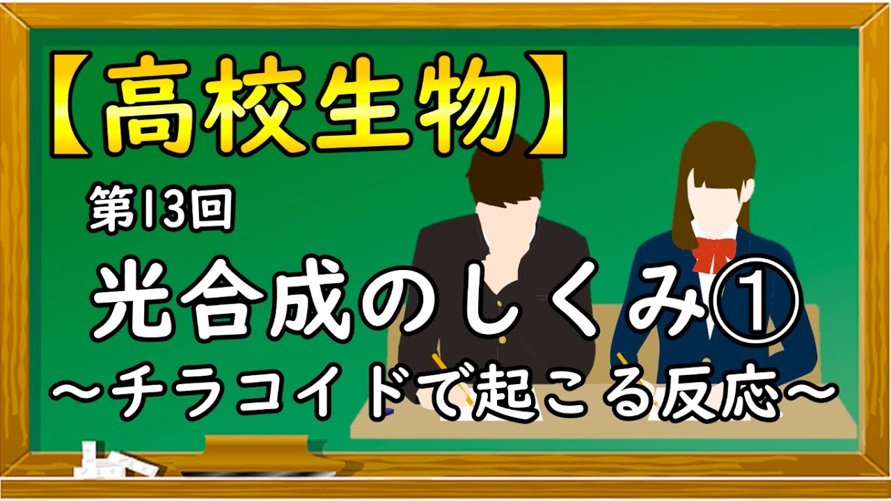 高校生物【第13回 光合成のしくみ➀～チラコイドで起こる反応～】オンラインで高校授業