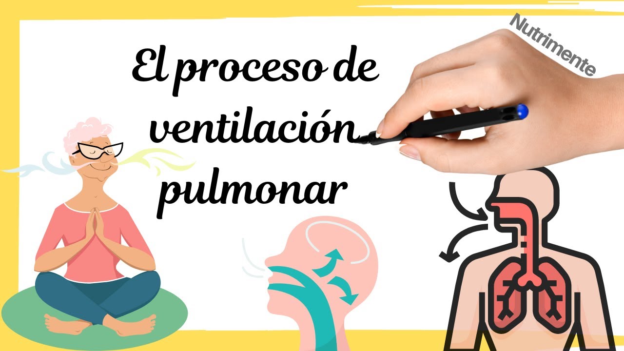 El proceso de la VENTILACI&Oacute;N PULMONAR