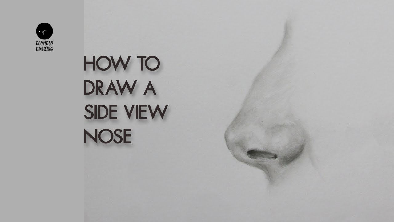 How to Draw a  Side View Nose : Pencil Sketch